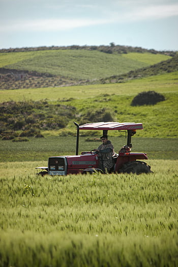 tractor in field, red tractor, lush green field, clear sky, farmer operating, Morocco Indiana, agricultural scene, rural landscape, farming equipment, outdoor work, countryside view