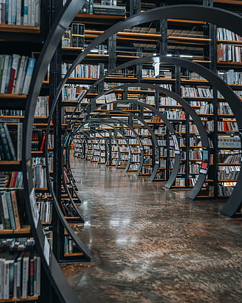 近代図書館、 アーチ型の本棚、 洗練された床、 図書館インテリア、 ユニークな本棚、 魅惑的なビュー、 ライブラリデザイン、 本棚のデザイン、 図書館建築、 現代の本棚、 図書館スペース