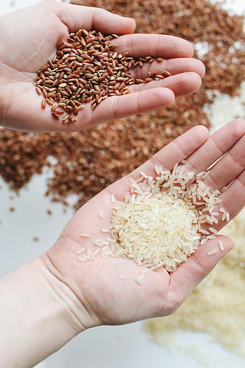 rice, hands, red rice, white rice, raw grains, close-up, food photography, healthy eating, natural ingredients, grain varieties, hand holding rice