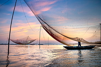 fisherman, Thu Bon River, Vietnam, sunset, casting nets, idyllic scene, boat, river, fishing, large net, unrecognizable man