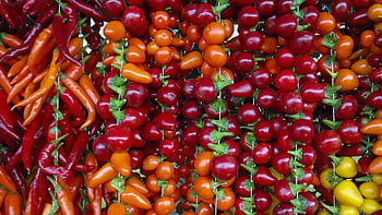 hot Peppers, capsicum, paprika, chili, chili Peppers, nightshade Plant, red, green, yellow, edible, sharpness