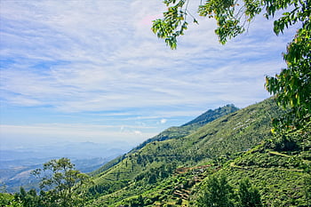 Čertovo schodiště, Pohoří Srí Lanka, Srí Lanka Tea Estate, kopec, vrchol, Skála, tapeta na zeď, scenérie, les, scénický, Pozadí