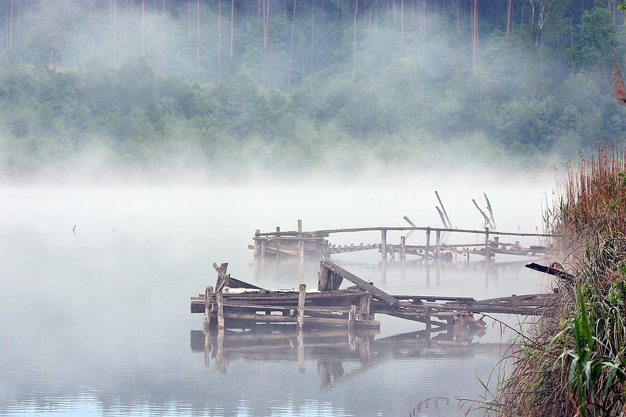 mlhavý, mlha, jezero, voda, krajina, Příroda, les, stromy, lávka