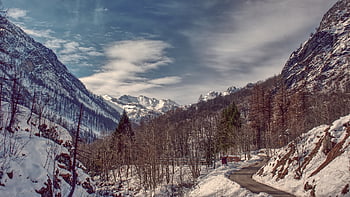 italy, outdoor, panorama, nature, mountain, alps, hiking, tourism, wood, trip, alpine