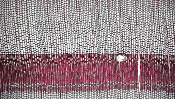 beyaz ve kırmızı desenler, bitki gövdesi kesiti, mikroskobik görünüm, karmaşık hücre desenleri, detaylı mikroskobik, bitki sapı, hücre yapısı, botanik desenler, kırmızı ve beyaz, bitki anatomisi, kök hücreler