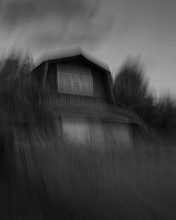 blurred grayscale photo, rural house, motion blur effect, abstract black and white, blurred image, grayscale image, rural scene, motion blur, black and white photo, abstract photo, rural house photo