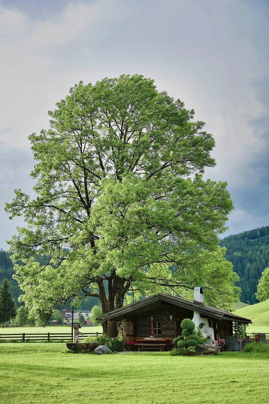 strom, Dům, Vlastnosti, krajina, Příroda, scenérie, zelený dům, zelená krajina