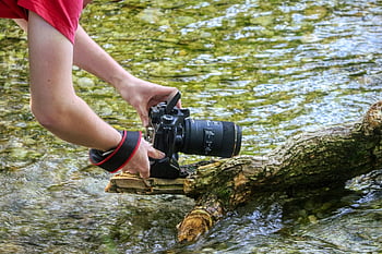 camera, photographer, photography, taking Photos, digital, technology, lens, recording