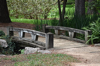 wooden Bridge, herman National Park, lake, trees, stream, autumn, water, grass, path, travel, oriental