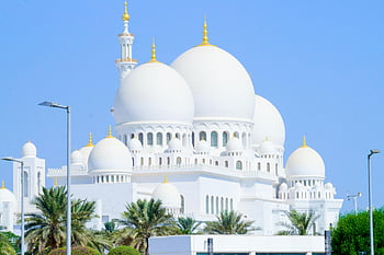 Sheikh Zayed Mosque, blue sky, architectural magnificence, clear skies, iconic mosque, white domes, Abu Dhabi, UAE, religious architecture, palm trees, grand mosque