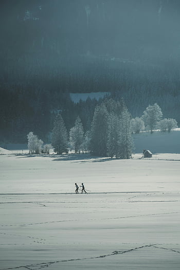 tranquil winter landscape, hikers, snowy landscape, frosty trees, winter ambiance, serene winter scene, cross-country skiing, winter exploration, snowy field, winter forest, winter sports