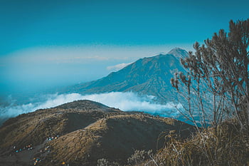 Mont Merbabu, photographie de paysage, mer de nuages, tentes de camping, ciel bleu clair, java central, Indonésie, vue sur la montagne, une vue à couper le souffle, paysages naturels, aventure en plein air