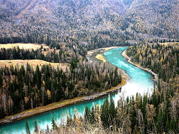 řeka, Příroda, cestovat, průzkum, xinjiang, přírodní, kanas, scenérie, tekoucí voda, záliv, podzim