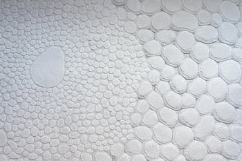 white wall, circular shapes, abstract pattern, textured surface, cell-like design, scale-like design, white circles, abstract art, modern art, wall art, decorative wall