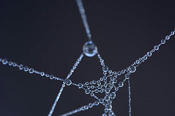 spider web, water droplets, close-up shot, artistic appearance, abstract appearance, glistening water, web details, nature photography, macro photography, dew drops, spider web art