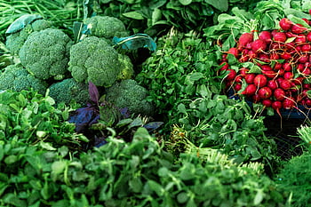broccoli, radishes, leafy greens, fresh vegetables, healthy eating, market produce, vibrant assortment, green vegetables, red vegetables, market stall, fresh produce