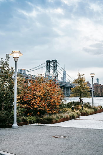 most williamsburg, východní řeka, podzimní listí, Moderní městská čtvrť, visutý most, počátkem podzimu, pohled, městské krajiny, barvy podzimu, panoráma města, New York City
