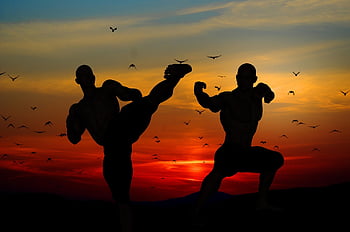 sunset, men, silhouettes, karate, nature, fighters, training, martial Arts, birds, flying, sky