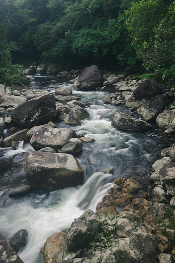 ลำธารน้ำเชี่ยวภูเขา, ป่าไม้เขียวขจี, กระแสหิน, ป่าเขียวชอุ่ม, ความเงียบสงบของธรรมชาติ, การเปิดรับแสงนาน, น้ำไหล, ทิวทัศน์ธรรมชาติ, ภูมิทัศน์อันเงียบสงบ, การถ่ายภาพกลางแจ้ง, ป่าลำธาร