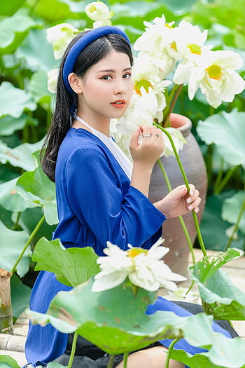 nő, modell, ao dai, stílus, hagyományos, szépség, kombiné, lótusz