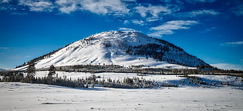 χιονισμένο βουνό, κορυφή bunsen, εθνικό πάρκο yellowstone, χειμερινό τοπίο, καθαρό μπλε ουρανό, χιονισμένη κορυφή, γραφική θέα, βουνό χιόνι, τοπίο χειμώνα, ΕΘΝΙΚΟ ΠΑΡΚΟ, χιονισμένα δέντρα