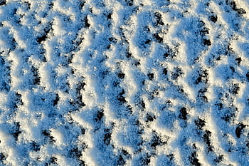 snow, background, sample, texture, design, winter, nature