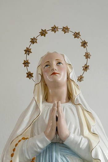 Virgin Mary, statue, close-up, halo, sacred devotion, religious art, praying hands, white robe, star halo, spiritual figure, religious iconography
