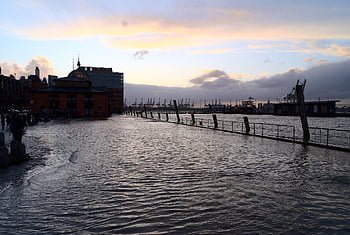 amburgo, Fischmarkt, Sturmflut, Überschwemmung, alluvione, porta, porto, acqua, costa, fiume, allagato