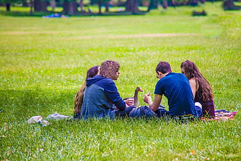 amici, picnic, parco, Oca, rilassamento, natura, persone, erba, riposo, tempo libero, bonding