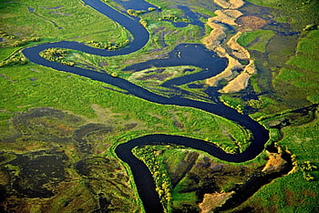 Narev, folyó, Lengyelország, tájkép, Podlasie, Nemzeti Park, Egy léggömbrepülésből, Amazónia