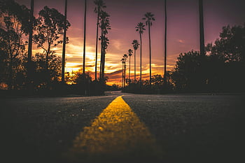 sunset, city, road, empty highway, tall palm trees, captivating view, urban sunset, cityscape, evening scene, street view, palm-lined road