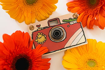 camera, colorful cover, bright gerberas, whimsical camera, vibrant flowers, orange gerbera, yellow gerbera, artistic scene, camera art, flower arrangement, lively scene