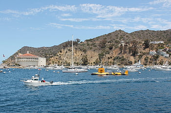 catalina νησί, θάλασσα, Λιμάνι, βάρκες, πόλη, καζίνο, avalon, βουνά, ωκεανός, λιμάνι, ακτή