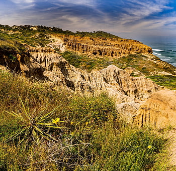torrey Pines, california, desert, sky, ocean, mountains, nature, landscape