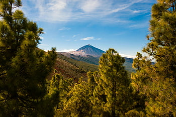 Mount Teide, Tenerife, Canary Islands, Spain, Santiago del Teide, volcano landscape, lush green trees, stunning view, natural scenery, Teide National Park, volcanic mountain