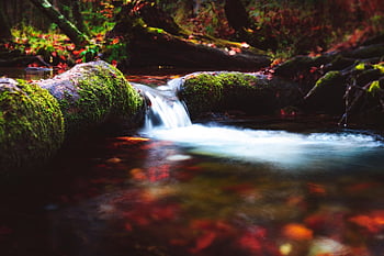 waterfall, flowing Water, cascading, rocky, outdoors, streams, nature, forest, calm, gentle, flow