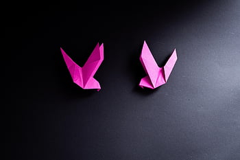 origami, piegare, carta pieghevole, carta, uccelli, uccelli origami, rosa