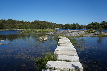 Here are the most relevant photo keywords based on the provided caption and description:

1. concrete block trail  
2. path across water  
3. serene stone path  
4. tranquil lake  
5. lush greenery  
6. clear blue skies  
7. nature scenery  
8. lakeside environment  
9. peaceful landscape