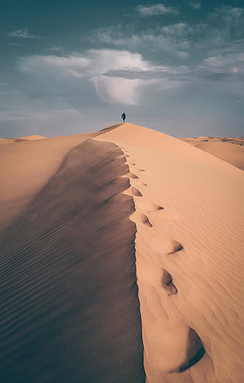 person walking on sand dune, Sahara Desert, Algeria, dramatic sky, lone person, vast dune, desert landscape, sand dunes, desert scenery, desert adventure, desert exploration