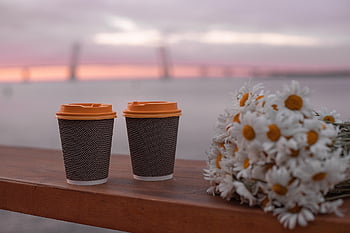 coffee, flowers, chamomile, flower Background, bay, sea, bridge, peter, petersburg, beautiful Flowers, st Petersburg