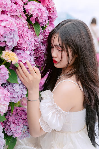woman, face, flowers, hydrangeas, hoa, vietnam, colorful, pink, bloom, summer, asian