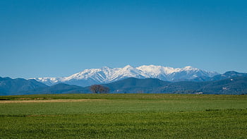 ピレネー山脈、 ジローナ、 牧草地、 木、 自然、 風景、 カタルーニャ、 スペイン、 フィゲラス、 雪