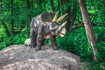 dinosaurus, dinosauří park, Modelka, prehistorie, prehistorický, Příroda, zvíře, dravec, gad, zuby, nebezpečný