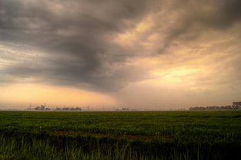 erba verde, ora d'oro, cielo tempestoso, campo sereno, contrasto drammatico, fotografia naturalistica, paesaggio all'aperto, Luce della sera, scena rurale, bellezza naturale, tramonto dorato