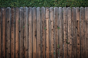 brown wooden fence, rustic wooden fence, green foliage, sunny day, outdoor scene, garden fence, natural texture, weathered wood, vertical planks, backyard setting, plant growth