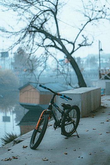Sonbahar Sokak Sahnesi, bisiklet, nehir kenarı, yapraksız ağaç, huzurlu sahne, sonbahar yaprakları, Riverside Yolu, kentsel sonbahar, Sokak fotoğrafçılığı, nehir kenarında bisiklet, sonbahar atmosferi