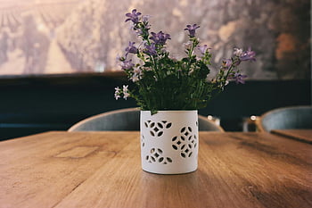 fiori viola petalo, vaso bianco, tavolo di legno, Decorazione per interni, fiori viola, Vaso bianco decorativo, fiori al coperto, centrotavola, composizione floreale, piante d'appartamento