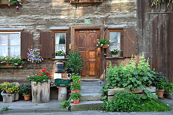 brown wooden door, green plant, rustic house, entrance, colorful flower pots, vibrant scene, wooden door, flower pots, rustic house entrance, outdoor plants, charming house