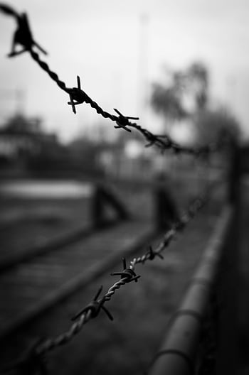 ostnatý drát, mělké zaměření, Černý a bílý, náladová fotografie, bezpečnostní, izolace, plot, barbwires, černobílý, rozmazané pozadí, drátěný plot