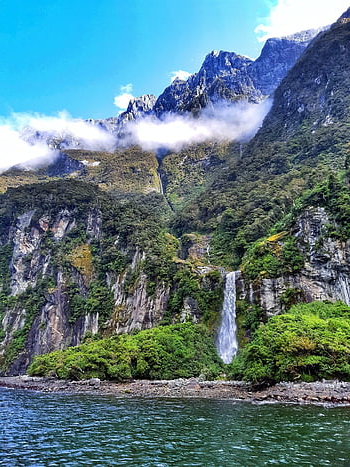 fiordland, milford Sound, fiord, new Zealand, nz, cliffs, cliff, water, sea, sound, bush